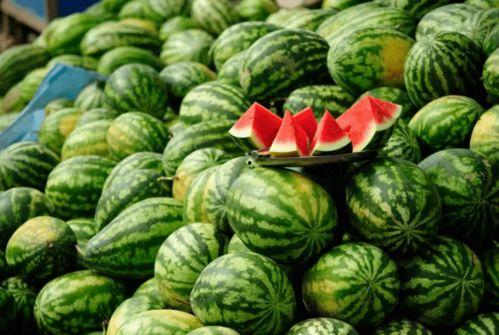 吃瓜所有网红,揭秘网络红人的幕后生活 第3张 吃瓜所有网红,揭秘网络红人的幕后生活 第3张